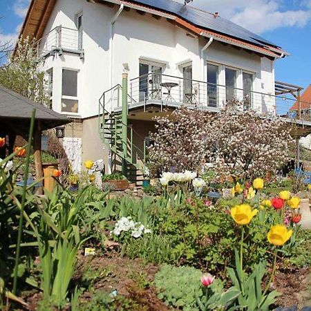 Ferienwohnung Dr. Vera Schmidt Kreischa Dış mekan fotoğraf