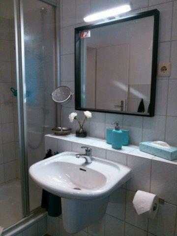 Ferienwohnung Dr. Vera Schmidt Kreischa Dış mekan fotoğraf