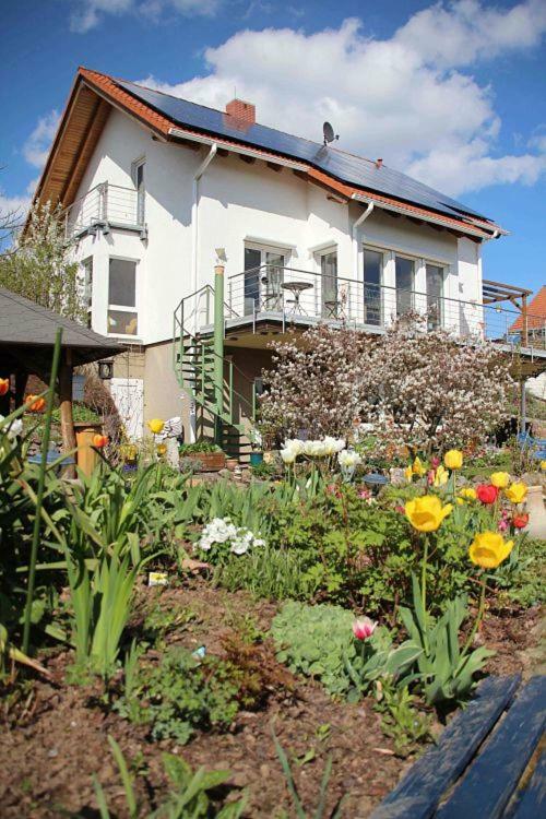 Ferienwohnung Dr. Vera Schmidt Kreischa Dış mekan fotoğraf